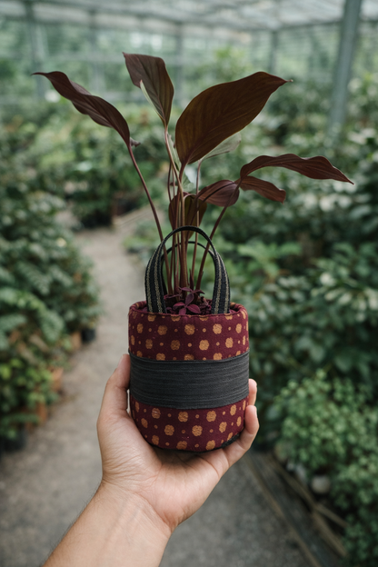 Arsa Handcrafted 2 in 1 String Hand Bag – Plant Pot Cover Batik Jambi Indonesia - AroidHouse